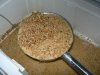 DSCN3413.JPG