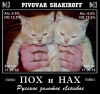 Безымянный3.png