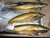 DSC02922.JPG