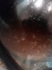 20150526_225451.jpg