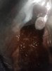 20150527_080602.jpg