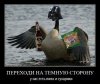 beer-demotivator-70.jpg
