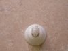 DSCN6051.JPG