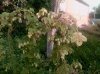IMG_20150810_184827.jpg