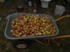 DSCN3330.JPG