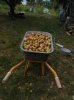DSCN3332.JPG