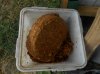 DSCN3354.JPG