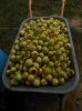DSCN3355.JPG