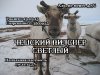чех_олень.jpg
