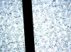 Still0001.png