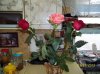 100_0366.JPG