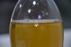 DSC_1015-min.JPG
