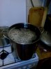 1IMG_20160122_003517.jpg