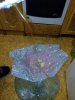 1IMG_20160122_031813.jpg