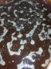 20160310_180954.jpg