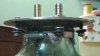 DSC01228.JPG