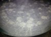 20160529_125514.jpg