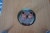 DSC03161.JPG