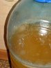 DSC09548.jpg