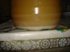 DSC09550.JPG