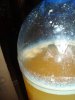 DSC09551.jpg