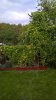 WP_20160925_13_09_09_Pro.jpg