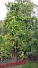 WP_20160925_13_09_23_Pro.jpg