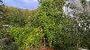 WP_20160925_13_31_47_Pro.jpg