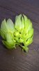 WP_20160925_13_46_52_Pro.jpg