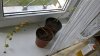 WP_20160925_13_29_00_Pro.jpg