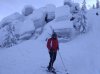 IMG_2017-01-29_111547.jpg