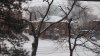 IMG_20170212_095345925.jpg