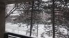 IMG_20170212_095813151.jpg