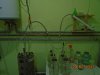 DSC00566.JPG