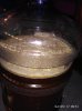 IMG_20170504_095149.jpg