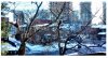 IMG_2017_12_28_.jpg