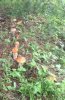 IMG_20190822_120617.jpg