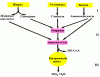 image027.gif