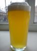 DSC00174.jpg