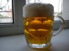 DSC00710.jpg