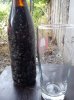 DSC00778.jpg