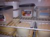 DSC00888.jpg