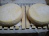 DSC01015.jpg