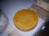 DSC01104.jpg