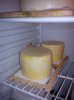 DSC01108.jpg