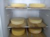 DSC01175.jpg