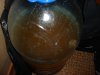 DSC09601.JPG