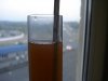 DSC02237.JPG