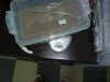 P1120135.JPG