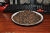 DSC_0174.JPG